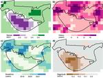 Disturbance and vegetational structure in an urban forest of Indian Siwaliks: an ecological assessment